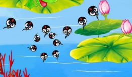 小蝌蚪找妈妈视频,一场寻找妈妈的温馨之旅